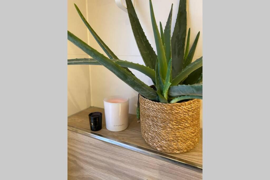 Warm Welkom! Zeer Ruime Prive Studio Met Tuin Харлинген Экстерьер фото